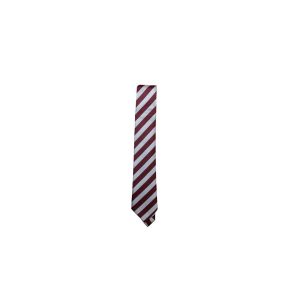Scoil Dara Kilcock Tie