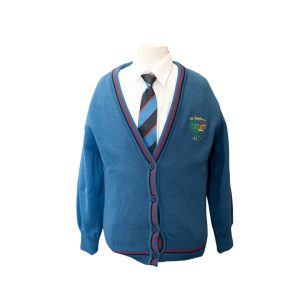 St Stephen's NS Cardigan