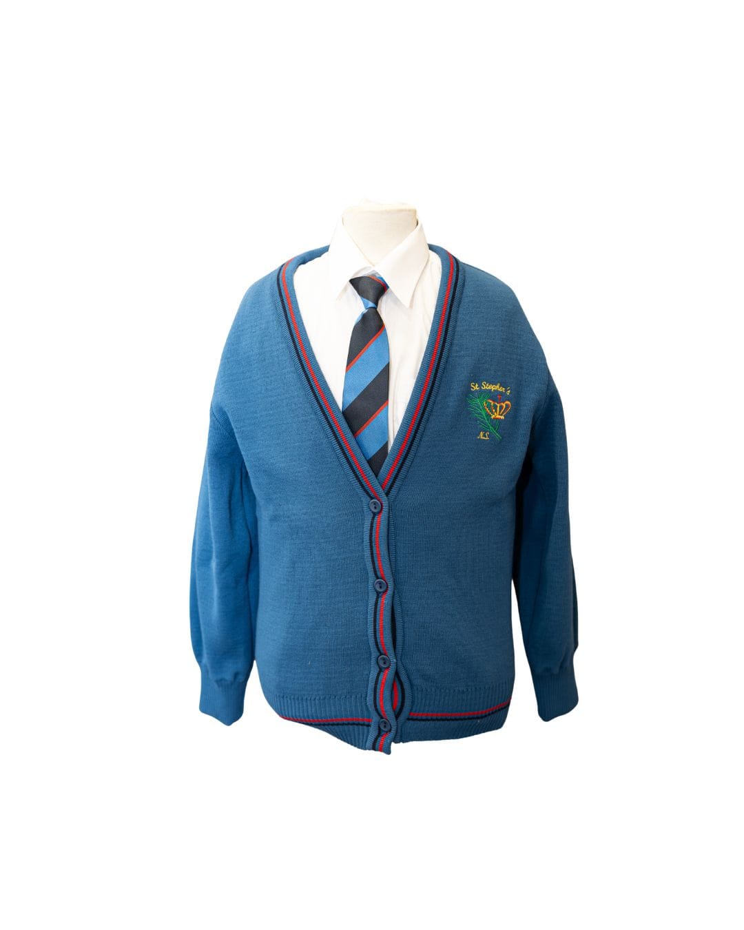 St Stephen's NS Cardigan
